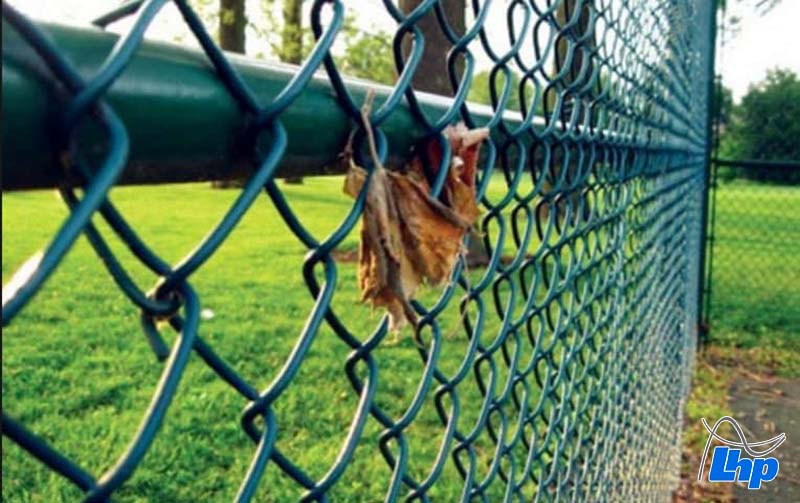 Sản phẩm của đơn vị đáp ứng tốt nhu cầu thực tế của nhiều khách mua