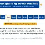 Trang Chủ 16 Dải hộp chữ nhật lưu kho sẵn từ 10x20 đến 60x120 và chỗ trống của cỡ 15x30 không có trong danh mục nhà máy